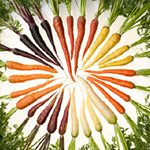 A Rainbow Of Carrots