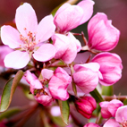 A Glimpse Into The Meaning, Symbolism & Psychology of Color