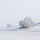 A Glimpse Into The Meaning, Symbolism & Psychology of Color