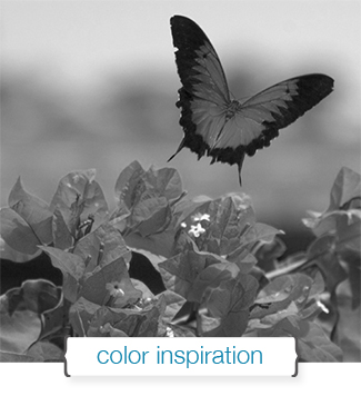 Color Inspiration