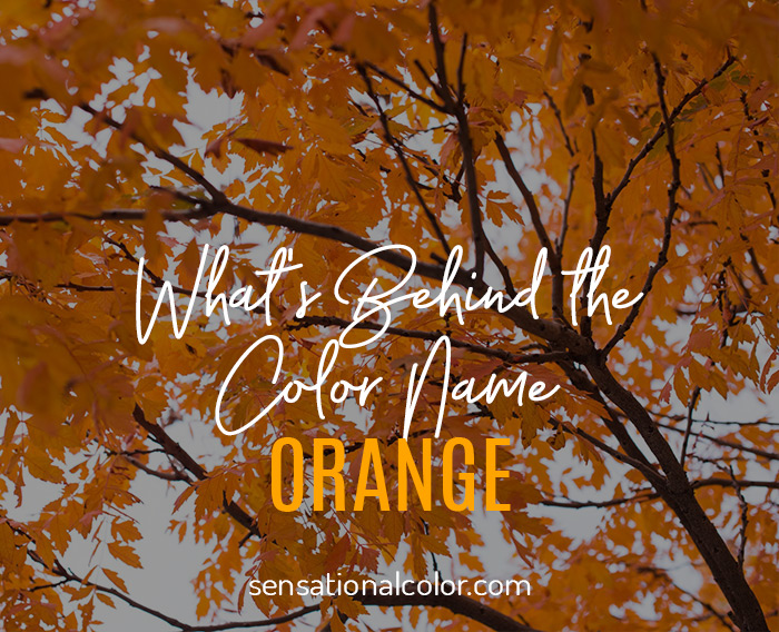 Hãy cùng nhau khám phá nguồn gốc của màu cam qua hình ảnh này. Màu sắc này nổi bật và đầy sức sống, và không ngạc nhiên khi nó được sử dụng trong nhiều thiết kế và sản phẩm nghệ thuật. Hãy tìm hiểu thêm về màu cam và cách nó được sử dụng trong cuộc sống hàng ngày của chúng ta qua hình ảnh này!