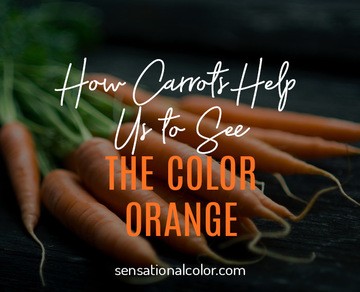 Meaning Of Orange: Color Psychology And Symbolism - Sensational Color