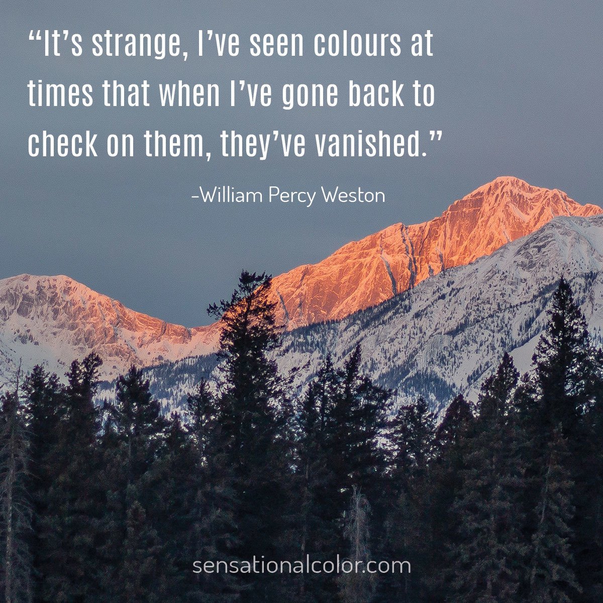 “It’s strange, I’ve seen colours at times that when I’ve gone back to check on them, they’ve vanished…” - William Percy Weston
